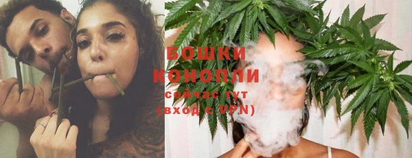 бошки Гусиноозёрск