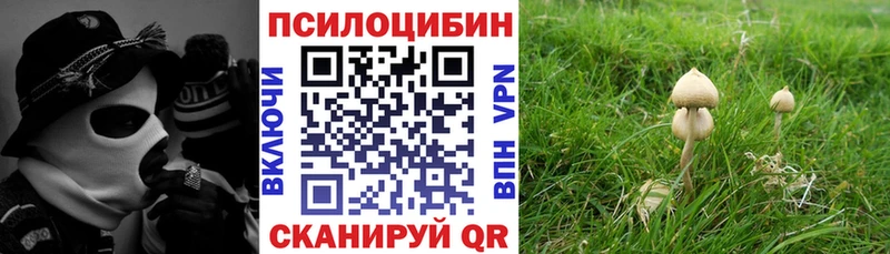 Псилоцибиновые грибы Cubensis гидра ССЫЛКА Гремячинск
